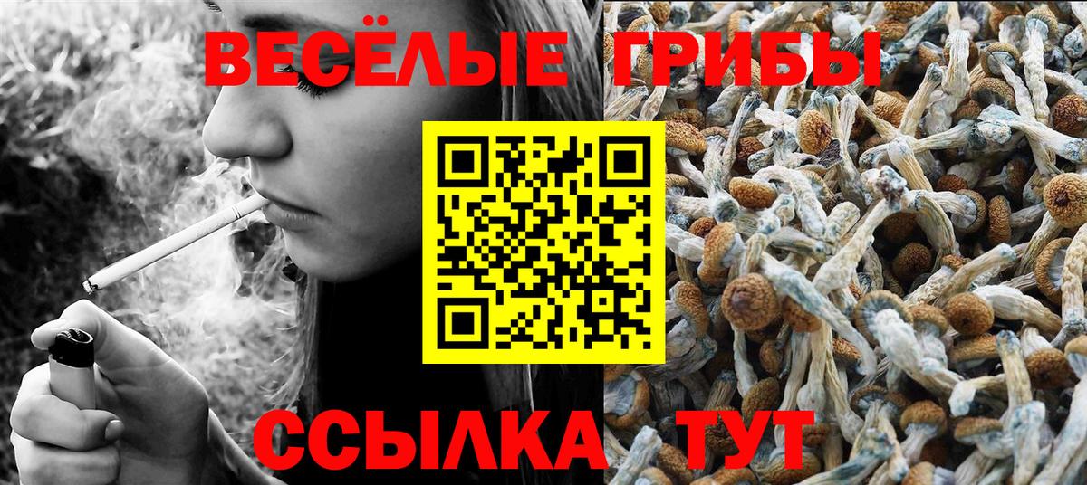 Галлюциногенные грибы MAGIC MUSHROOMS  Вход с VPN  Сафоново 